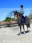 ref. photo 4070243