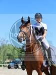 ref. photo 4071044