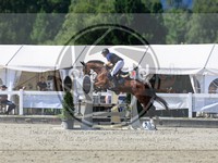 ref. photo 4071267