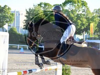 ref. photo 4071284