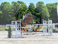 ref. photo 4071512