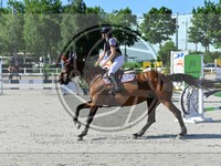 ref. photo 4071810