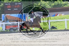 ref. photo 3610186