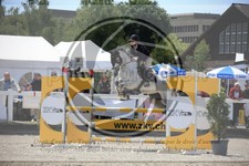 ref. photo 3610217