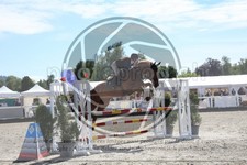 ref. photo 3610224