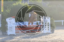 ref. photo 3610263