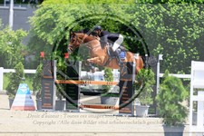 ref. photo 3610302