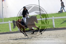 ref. photo 3610304
