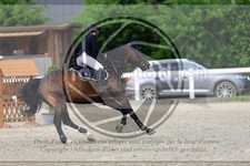 ref. photo 3610322