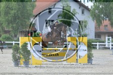 ref. photo 3610378