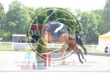 ref. photo 3610394