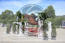 ref. photo 3610395
