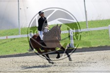 ref. photo 3610402