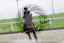 ref. photo 3610403