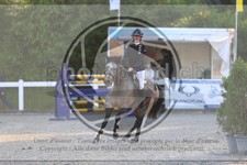 ref. photo 3610413