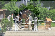 ref. photo 3610447
