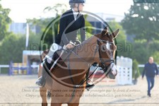 ref. photo 3610481