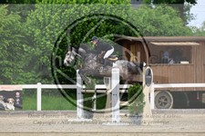 ref. photo 3610498