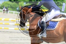 ref. photo 3610536