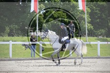 ref. photo 3610557