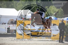 ref. photo 3610584