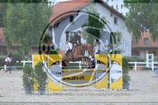 ref. photo 3610607