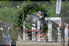 ref. photo 3610616
