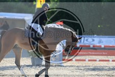 ref. photo 3610683