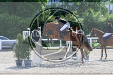 ref. photo 3610707