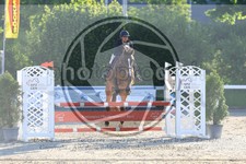 ref. photo 3610750