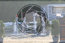 ref. photo 3610753