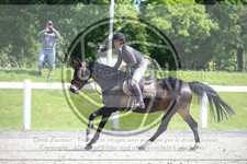 ref. photo 3610794