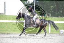 ref. photo 3610795
