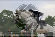 ref. photo 3610804