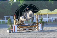 ref. photo 3610806