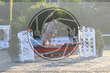 ref. photo 3610807