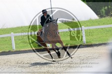ref. photo 3610830