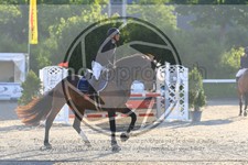 ref. photo 3610870