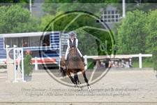 ref. photo 3610888