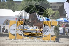 ref. photo 3610893