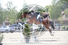 ref. photo 3610903