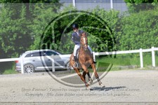 ref. photo 3610907