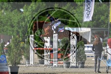 ref. photo 3610911