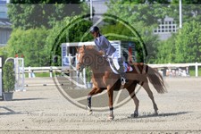 ref. photo 3610915