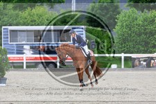 ref. photo 3610921