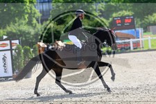 ref. photo 3610946