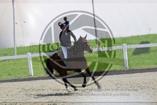 ref. photo 3610962