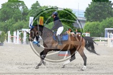 ref. photo 3610976