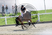 ref. photo 3610983