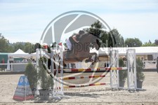 ref. photo 3610987